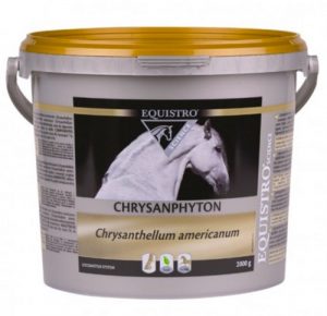 Complementary feed containing CHRYSANTHELLUM AMERICANUM.
The feet of the horses are one of the essential elements for their locomotion. They are constantly solicited. For normal operation of the hooves, it is essential that the physiological blood circulation is done properly.